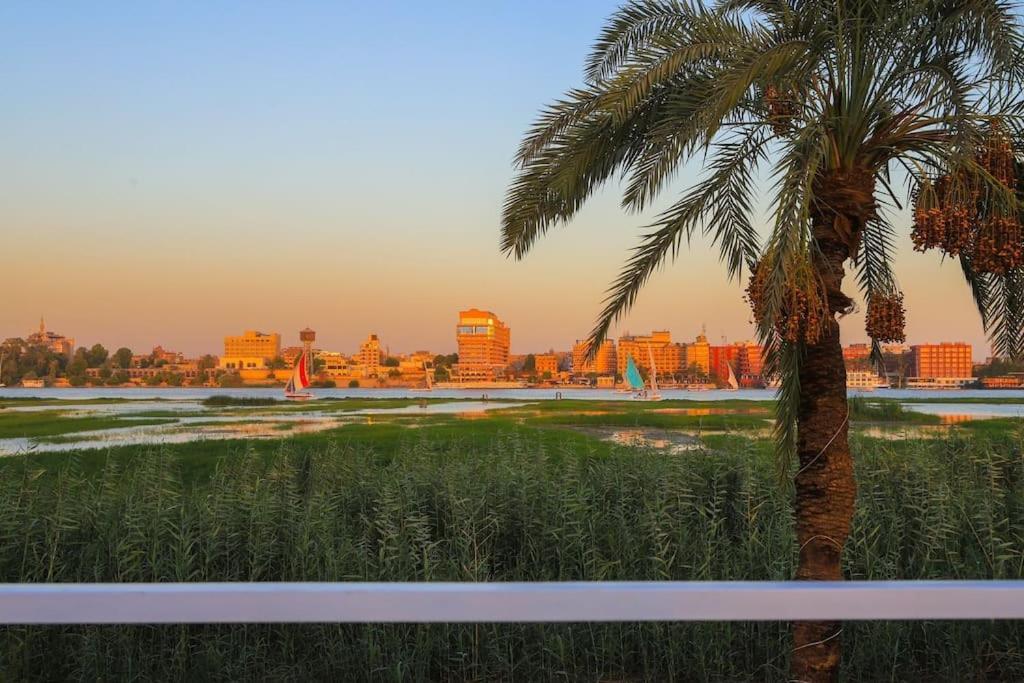 Apartament Royal Nile - Nile View 2 *